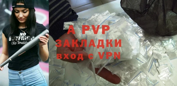 крисы Алексин